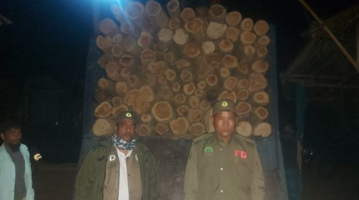 খাগড়াছড়িতে নিরাপত্তাবাহিনীর অভিযানে ৪ লাখ টাকামূল্যের কাঠ জব্দ ...