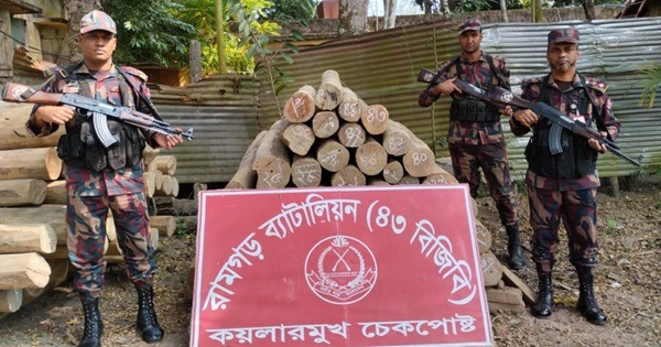 ৪৩ বিজিবির অভিযানে চট্টগ্রামে সেগুন গোলকাঠ জব্দ