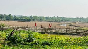 ঘুমধুম সীমান্তে অবিস্ফোরিত মর্টার শেল কুড়িয়ে আনল শিশুরা