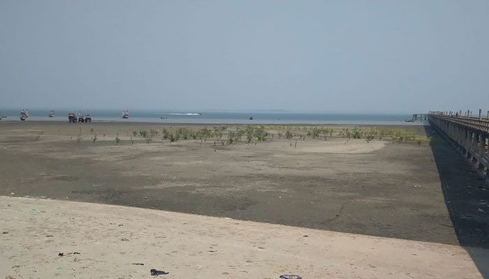 নয় রোহিঙ্গার অবৈধ অনুপ্রবেশ রুখে দিল বিজিবি