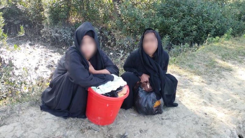 নাফ দিয়ে অবৈধ অনুপ্রবেশের চেষ্টা, ২ নারীকে ফেরত পাঠাল বিজিবি