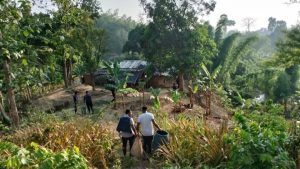 বান্দরবানে নাইক্ষ্যংছড়ি থেকে ৮টি আগ্নেয়াস্ত্রসহ বিপুল সরঞ্জাম উদ্ধার