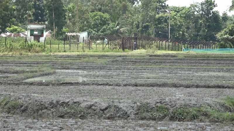 কুড়িগ্রামের ফুলবাড়ী সীমান্তে অবৈধ অনুপ্রবেশের দায়ে ভারতীয় নাগরিকসহ আটক দুই