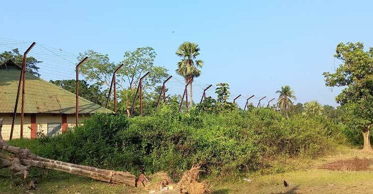 ফেনী সীমান্তে বাংলাদেশি যুবককে গুলি বিএসএফের