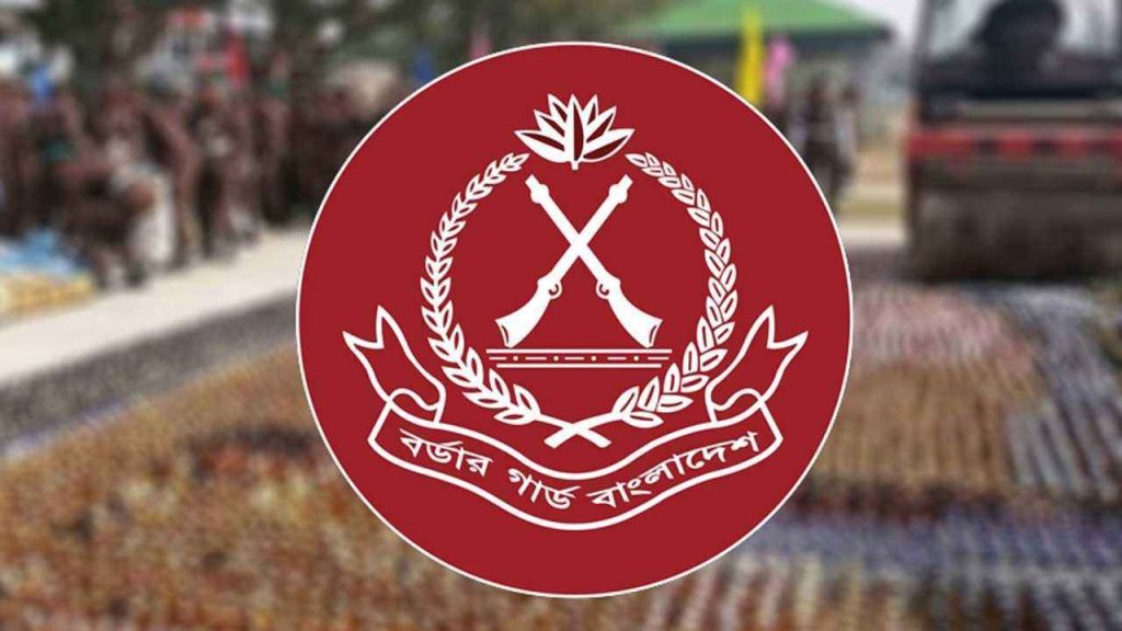 বিজিবির অভিযানে জুনে ১৭২ কোটি ৯৫ লাখ টাকার চোরাচালান জব্দ