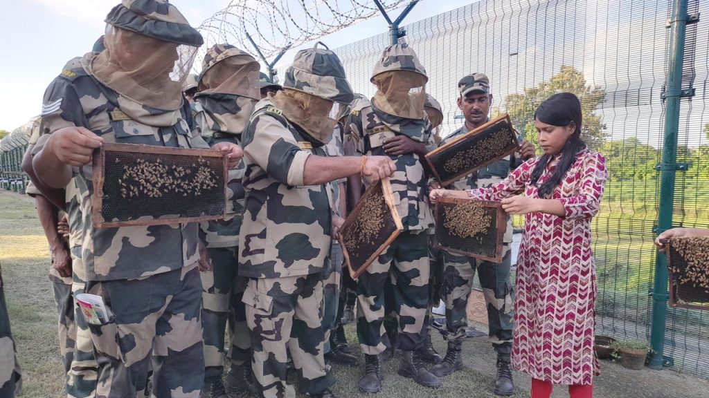 বাংলাদেশ সীমান্তে মৌমাছির কৃত্রিম চাক তৈরি করছে ভারত