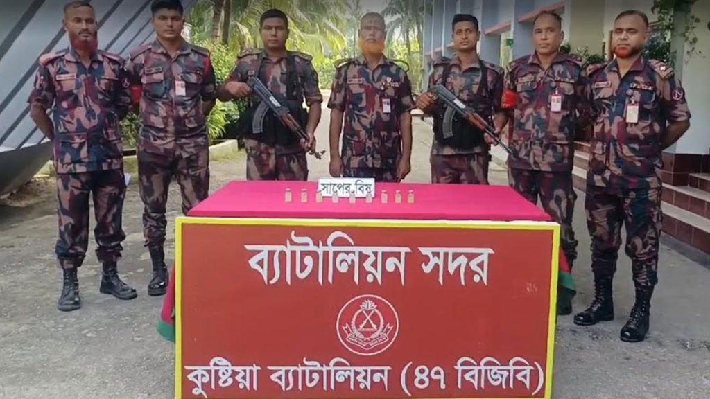 কুষ্টিয়ায় বাসে মিলল দেড় কোটি টাকার সাপের বিষ