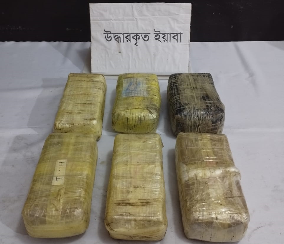 টেকনাফে ৬০ হাজার পিস ইয়াবাসহ আটক ১