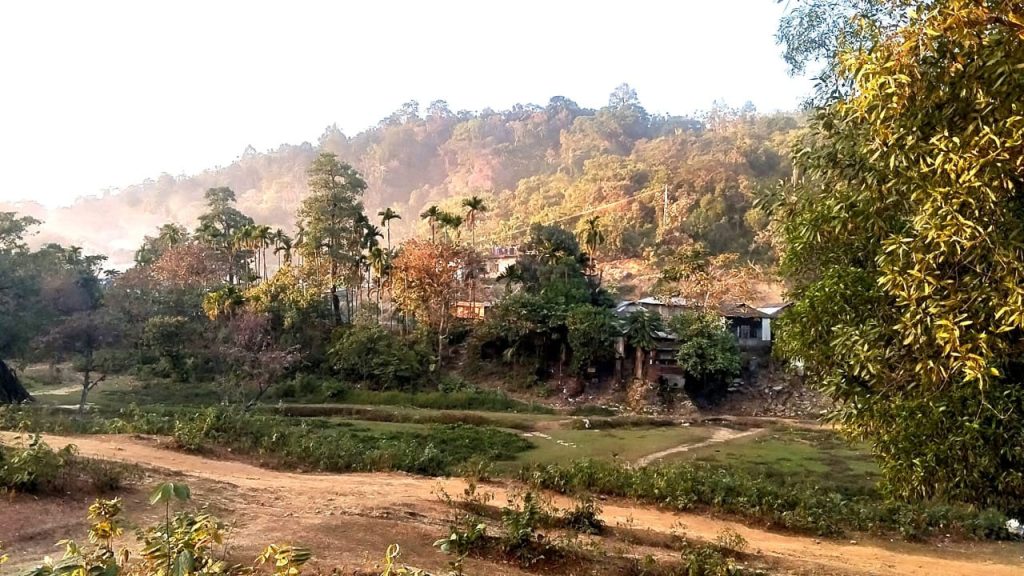 সীমান্তে বিএসএফের বিরুদ্ধে ১৩ বাংলাদেশিকে আটকের অভিযোগ