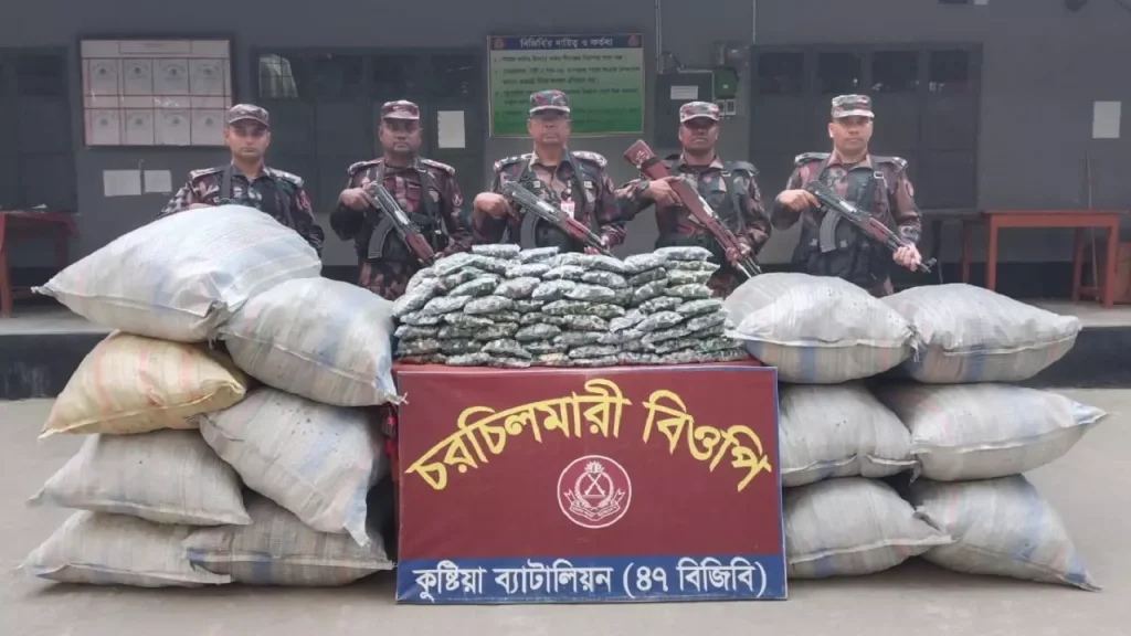 কুষ্টিয়া সীমান্তে বিপুলপরিমাণ ভারতীয় আতশবাজি জব্দ