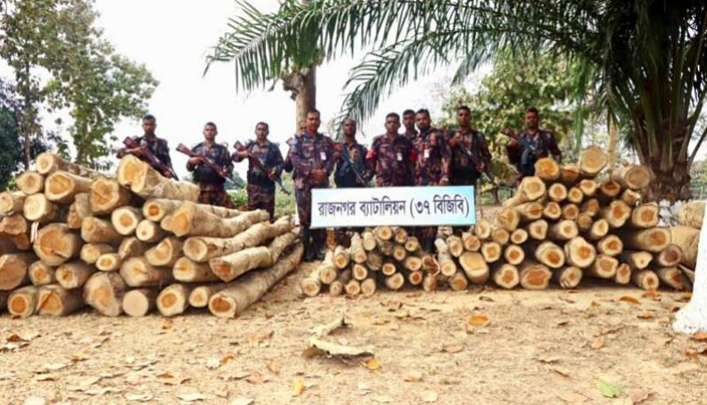 লংগদুতে বিজিবির অভিযানে দুই লক্ষাধিক টাকার সেগুন কাঠ জব্দ