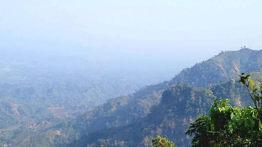 অপহরণের ৭২ ঘণ্টা পর মুক্তি মিলল ২৫ রাবার বাগান শ্রমিকের