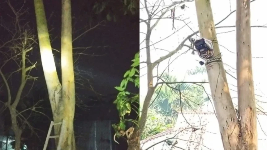 কুড়িগ্রামের বাঁশজানি সীমান্তের সিসি ক্যামেরা সরাল বিএসএফ