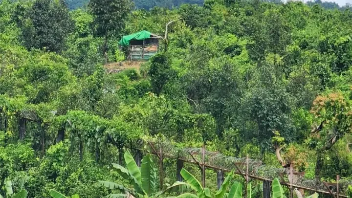 সীমান্তে জমিতে পানি দিতে গিয়ে মিয়ানমার থেকে ছোঁড়া গুলিতে যুবক আহত