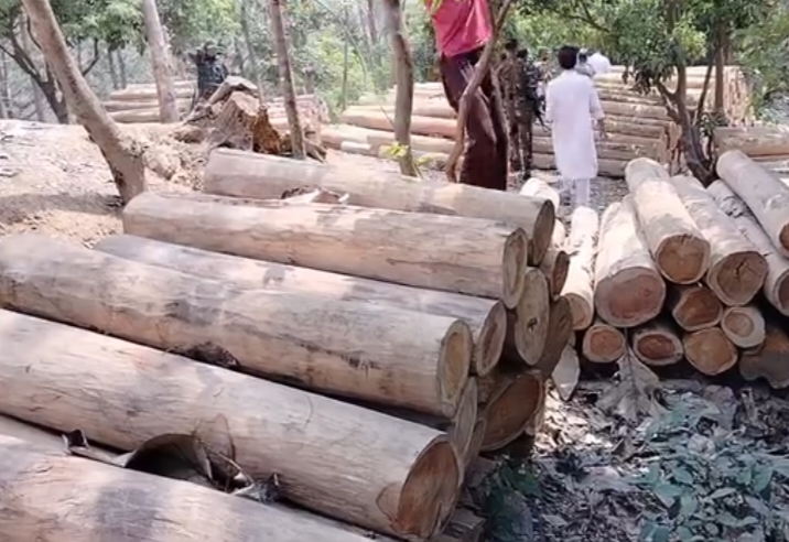 খাগড়াছড়িতে সেনাবাহিনীর অভিযানে ৫০ লক্ষ টাকার অবৈধ সেগুন কাঠ জব্দ