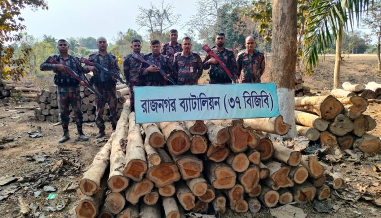 লংগদুতে বিজিবির অভিযানে বিপুল পরিমাণ অবৈধ সেগুন কাঠ জব্দ