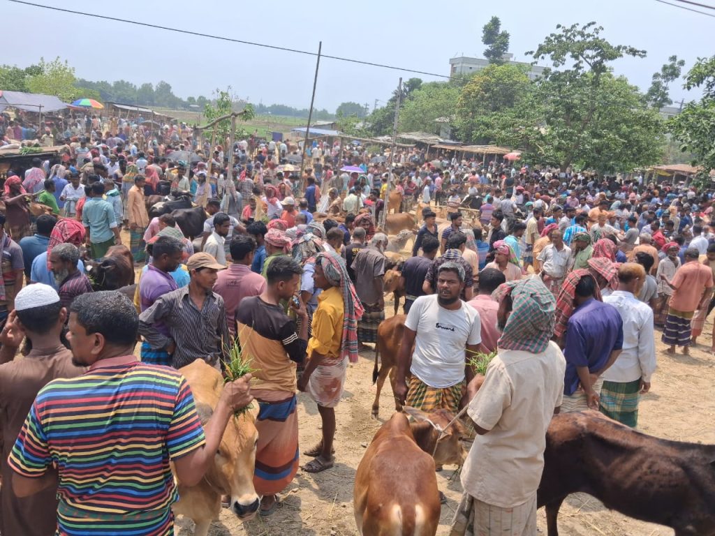 সিংড়ায় পশুর হাটে সেনা অভিযান, বন্ধ চাঁদাবাজি