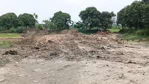 নাটোরে পুকুর কাঁটার মহাউৎসবে কৃষি জমি সঙ্কটে, সেনা অভিযানে নিয়ন্ত্রণের সম্ভাবনা