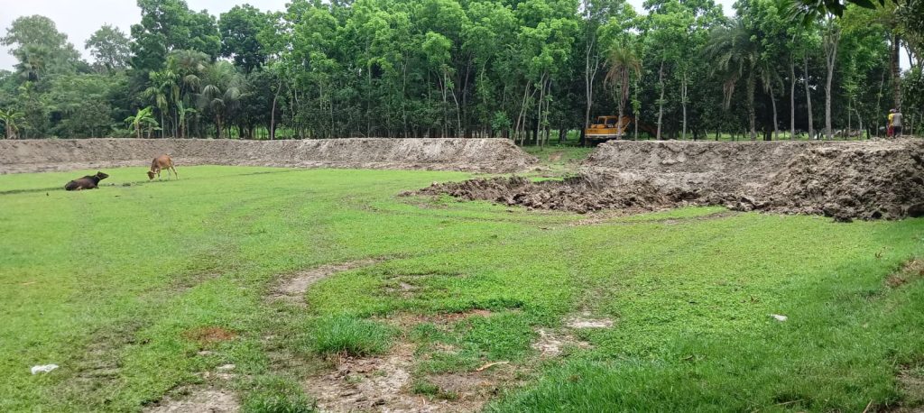 নাটোরে পুকুর কাঁটার মহাউৎসবে কৃষি জমি সঙ্কটে, সেনা অভিযানে নিয়ন্ত্রণের সম্ভাবনা