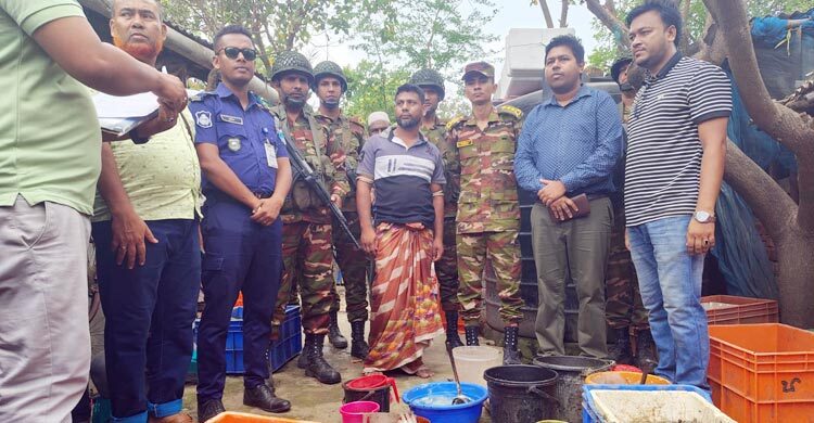 চিংড়িতে পুশ করা হচ্ছিল জেলি, হাতেনাতে দুজনকে ধরলো সেনাবাহিনী