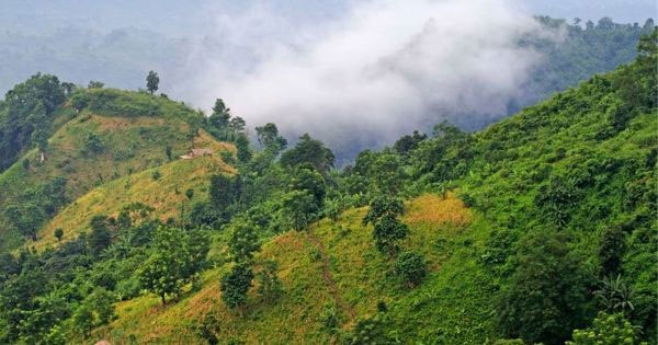 লামায় অপহৃত ৯ তামাকশ্রমিক ৩৮ ঘণ্টা পর উদ্ধার