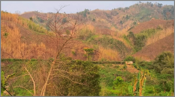 বিএসএফের ‘পুশ ইন’ ঠেকাতে রাঙামাটির ভারত সীমান্তে বিজিবির টহল জোরদার