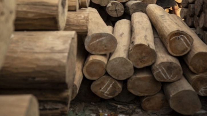 লংগদুতে বিজিবির অভিযানে বিপুল পরিমাণ অবৈধ কাঠ জব্দ