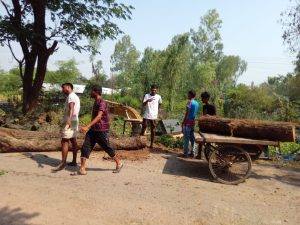 সুপরিকল্পিতভাবে পুশইন করছে বিএসএফ: বিজিবি মহাপরিচালক