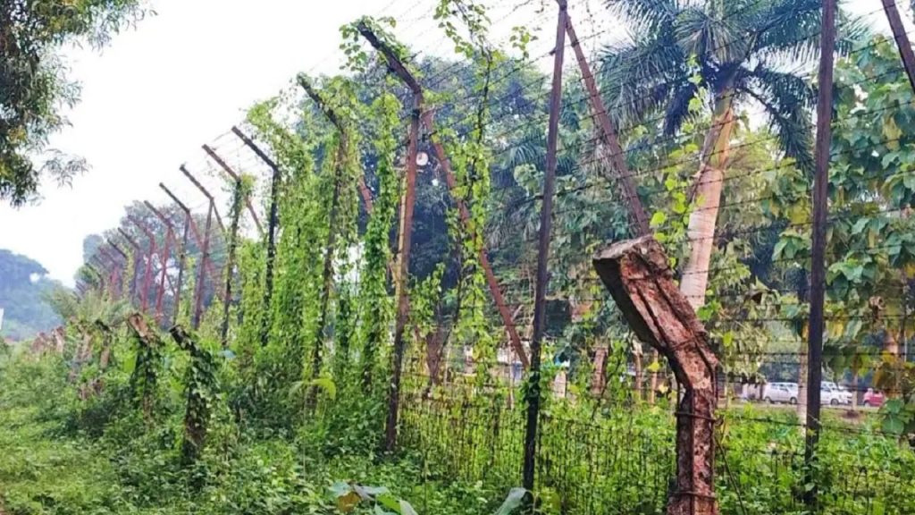 অবৈধ অনুপ্রবেশ: ব্রাহ্মণবাড়িয়া সীমান্তে বিএসএফের গুলিতে ২ বাংলাদেশী আহত