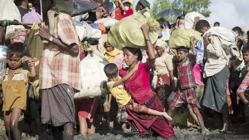 দুর্যোগের মাঝেও রোহিঙ্গাদের উচ্ছেদ করছে আরাকান আর্মি