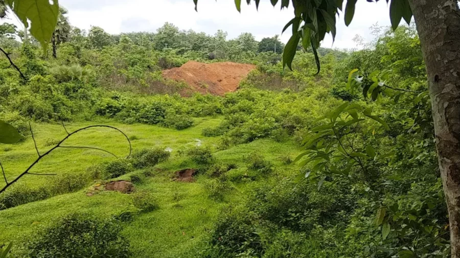 চোরাচালানিদের তাড়া করতে গিয়ে ভুলে ভারতে, বিজিবি সদস্যকে ফেরত দিল বিএসএফ