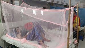 রাঙামাটিতে বেড়েছে ম্যালেরিয়ার প্রকোপ, আক্রান্ত ৬৬১