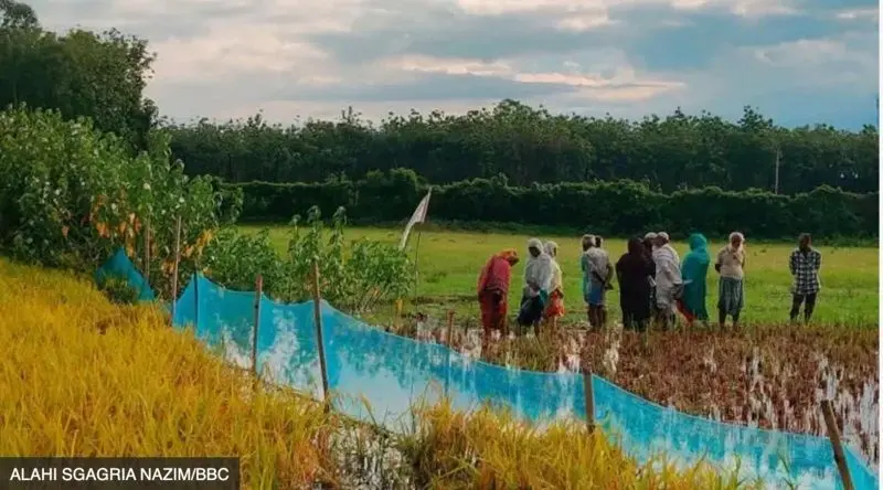 শয়ে শয়ে মুসলমানকে বেআইনিভাবে বাংলাদেশে তাড়াচ্ছে ভারত, বলছে হিউমান রাইটস ওয়াচ