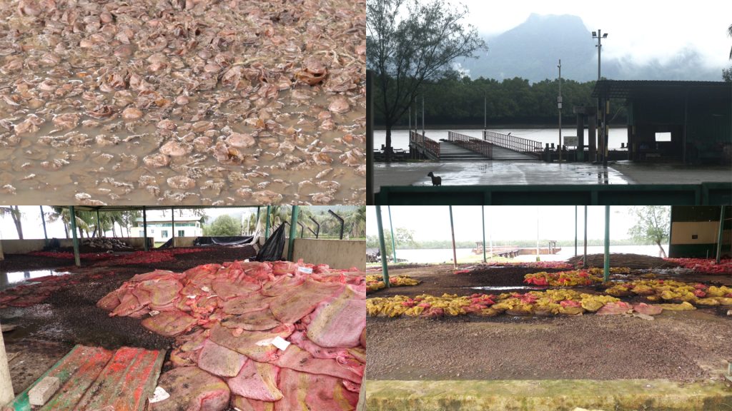 চার মাস ধরে বন্ধ মিয়ানমারে পণ্য আমদানি-রফতানি, কোটি টাকার ক্ষতি