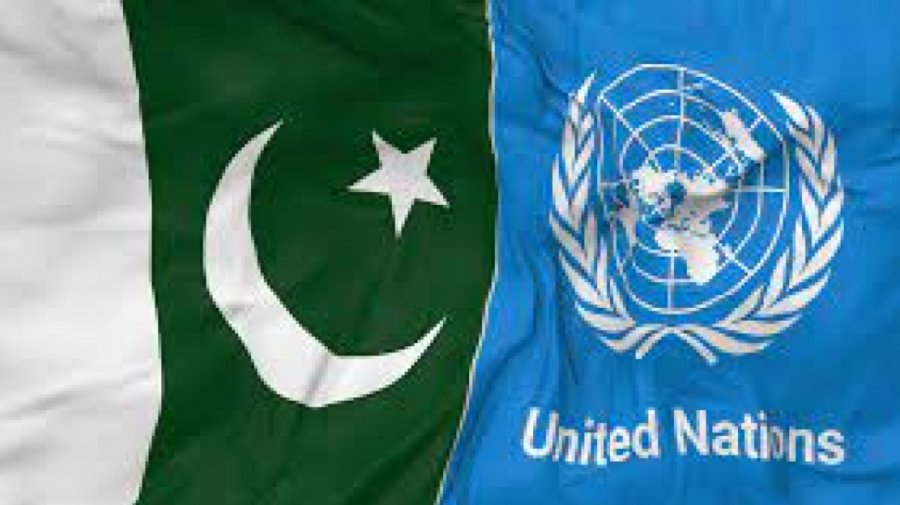 জাতিসংঘ নিরাপত্তা পরিষদের সভাপতিত্বের দায়িত্ব পেলো পাকিস্তান