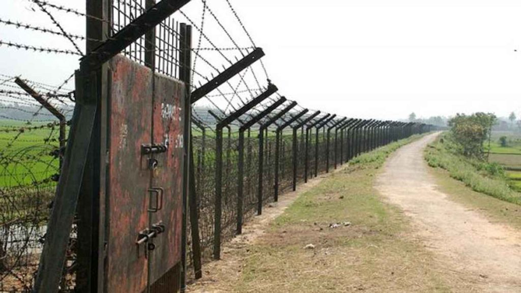 চাঁপাইনবাবগঞ্জ সীমান্তে চোরাকারবারি ধরতে গিয়ে বিজিবির ফাঁকা গুলি, ১০ মহিশ জব্দ