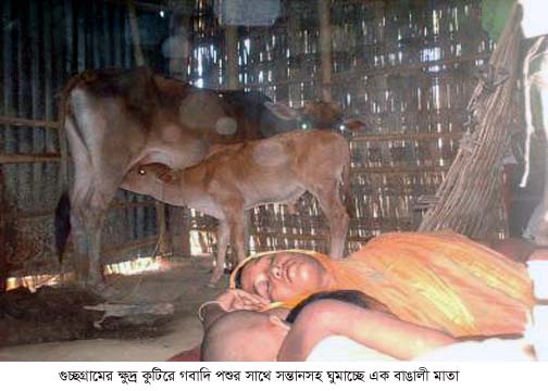 পার্বত্য চট্টগ্রামের অসহায় বাঙালিদের নিয়ে কিছু কথা