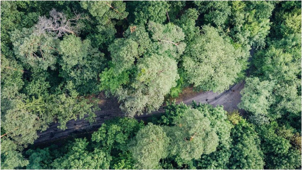 মিয়ানমারে ঢুকে উলফার ঘাঁটিতে ভারতীয় সেনাবাহিনীর ড্রোন হামলা, নিহত ২৩