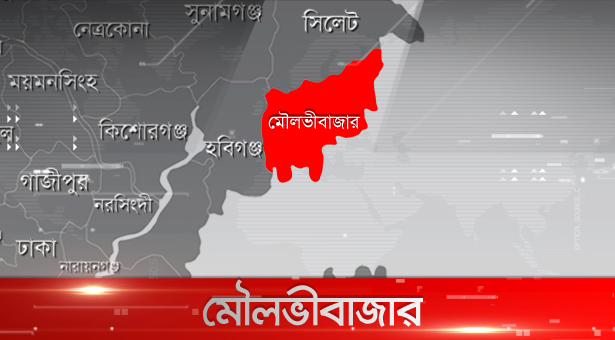 সীমান্তে বিএসএফের পুশইনের পর রোহিঙ্গা যুবকসহ ২ জনকে আটক করল বিজিবি