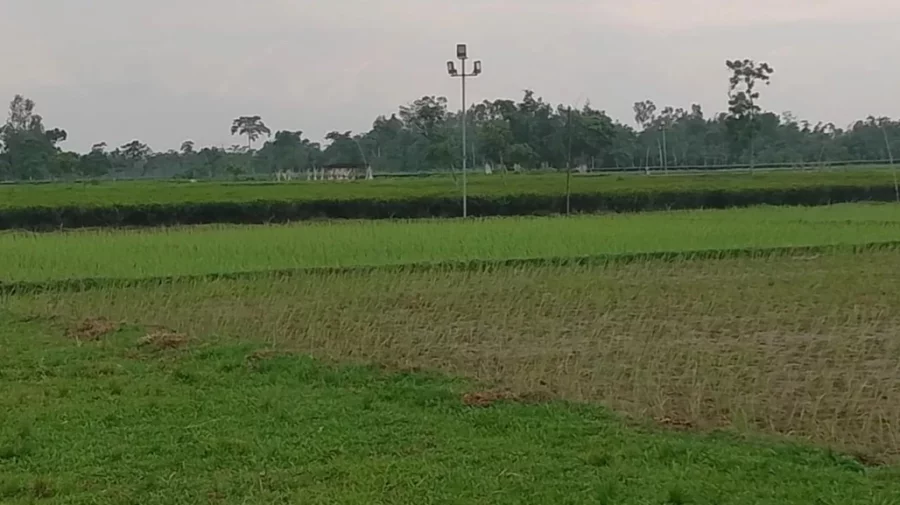 লালমনিরহাট সীমান্তে ভারতীয় ড্রোনের অনুপ্রবেশে উত্তেজনা, ক্ষুব্ধ এলাকাবাসী