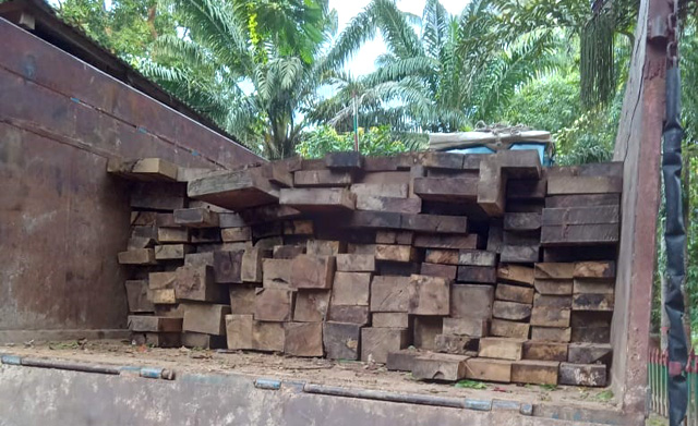 খাগড়াছড়ির মাটিরাঙ্গায় সেনাবাহিনীর অভিযানে ৯২ লাখ টাকার অবৈধ কাঠ জব্দ