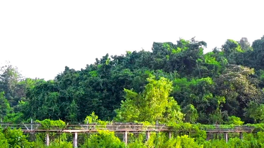 মিয়ানমার সীমান্তে আবারো গোলাগুলির শব্দ, সতর্ক বিজিবি