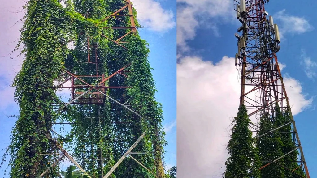 রামগড়ে দুই মাস ধরে মোবাইল নেটওয়ার্ক বিপর্যয়, চাঁদাবাজির অভিযোগ