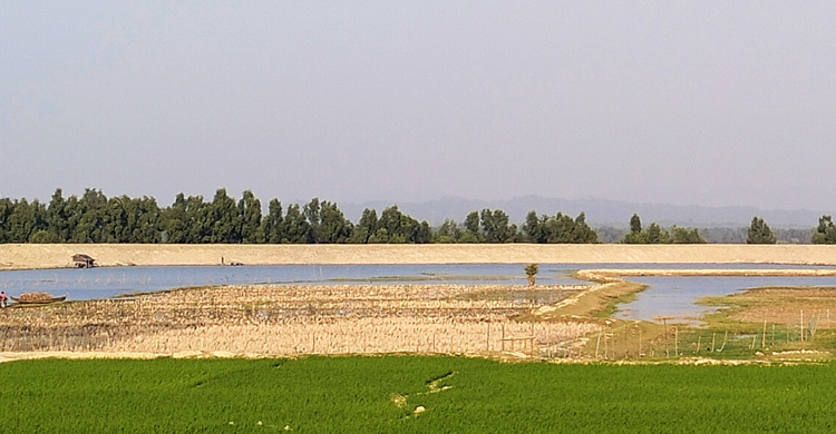 টেকনাফের ওপারে আবারো গোলাগুলি, এপারের জনপদে আতঙ্ক