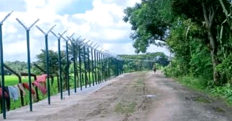 পশ্চিমবঙ্গ-বাংলাদেশ সীমান্তে কাঁটাতারের বেড়া দিচ্ছে বিএসএফ