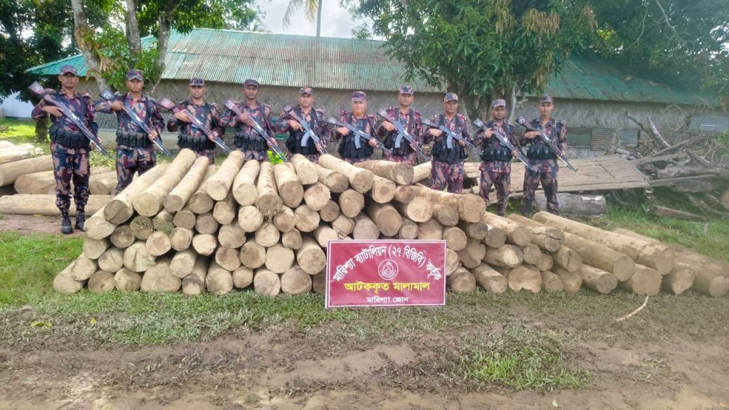 বাঘাইছড়িতে বিজিবির অভিযান: বিপুল পরিমাণ অবৈধ সেগুন কাঠ জব্দ