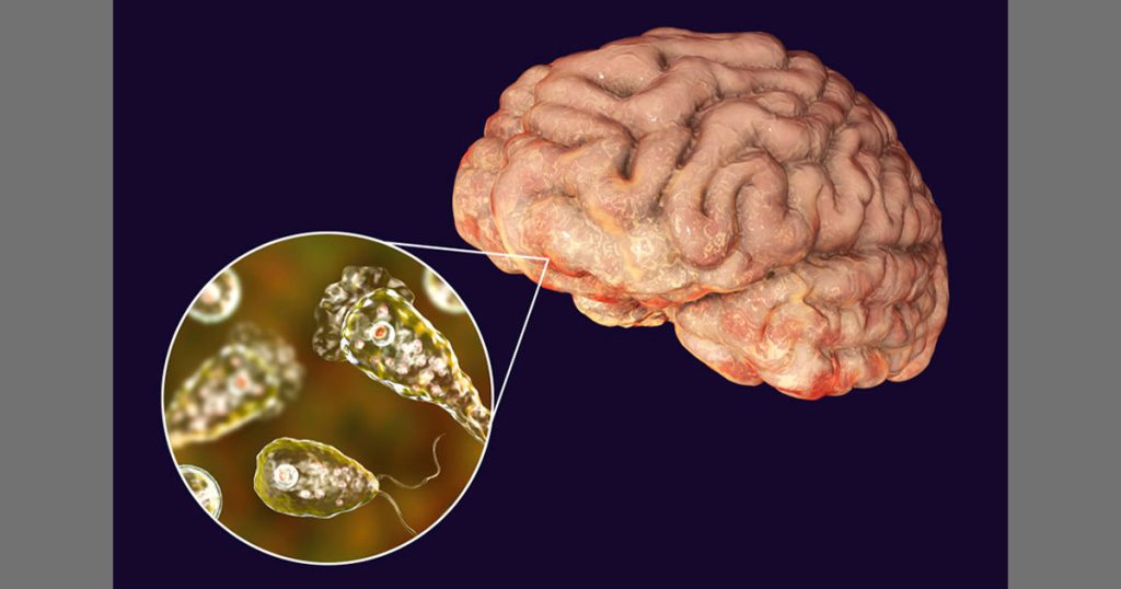 ভারতের কেরালায় প্রাণঘাতী মস্তিষ্কখেকো অ্যামিবা, আতঙ্কে স্থানীয়রা