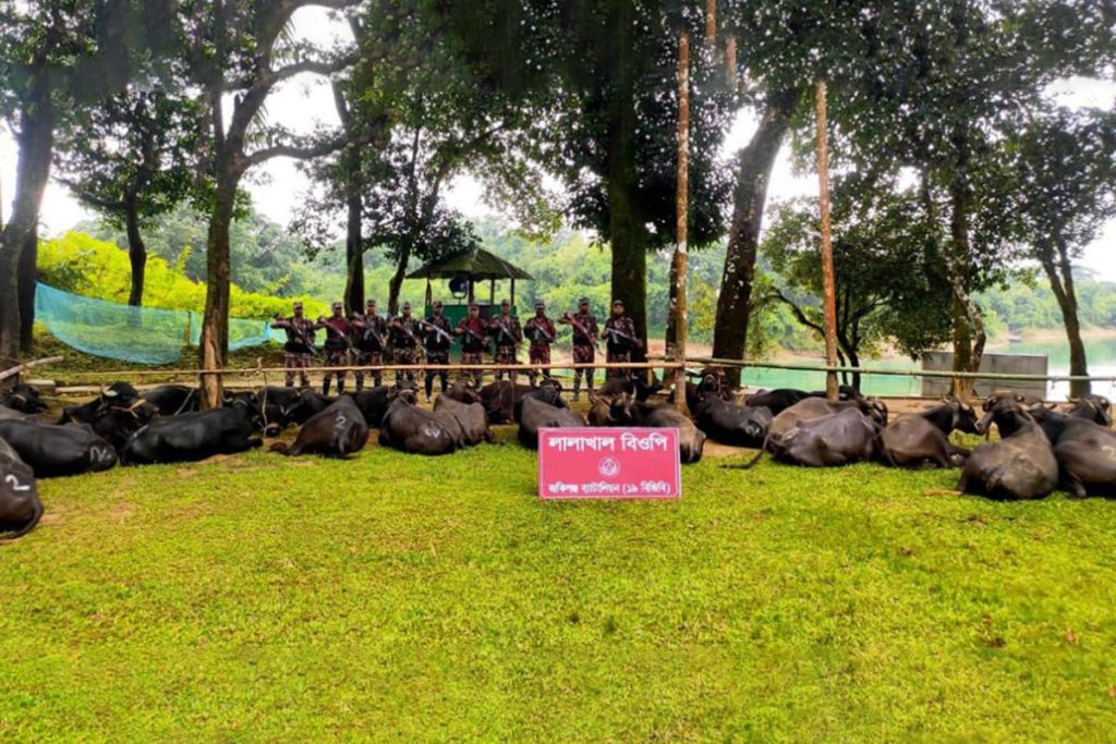 সিলেট সীমান্তে ৫৩ মহিষসহ ভারতীয় মালামাল জব্দ করল বিজিবি