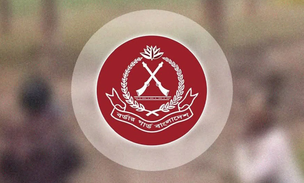 আগস্টে বিজিবির অভিযানে ১৭৭ কোটি টাকার পণ্যসামগ্রী জব্দ