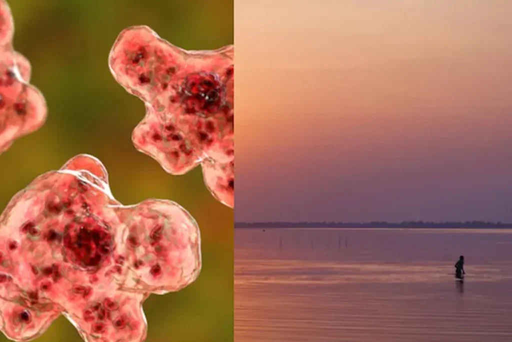 ভারতে মস্তিষ্ক-খেকো অ্যামিবার সংক্রমণে ১৯ জনের মৃত্যু